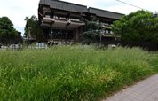 МАНУ „потоната“ во висока трева